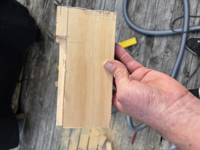 More Recent Work image2 (1)